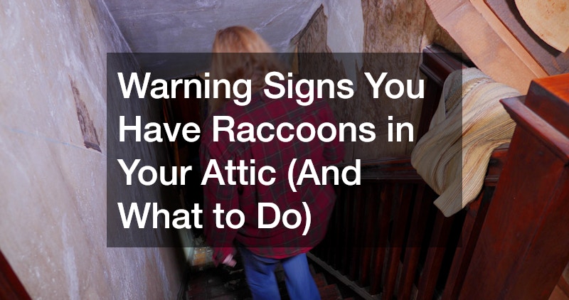 Warning Signs You Have Raccoons in Your Attic (And What to Do)